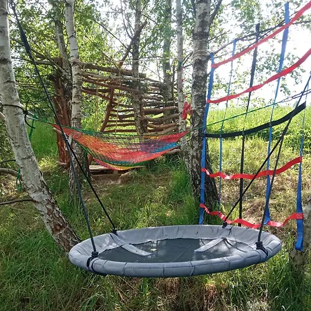 Stokrotka